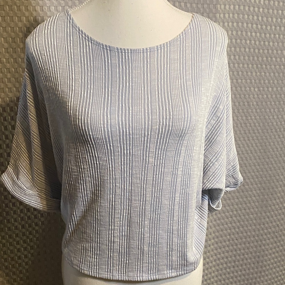 🍄Caution To The Wind Light Gray Striped Blouse
